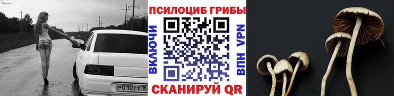 Галлюциногенные грибы ЛСД  МЕГА ТОР  Касимов  как найти закладки 